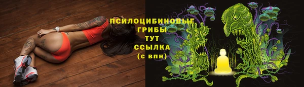 дмт Магас