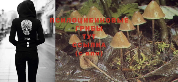таблы Болохово