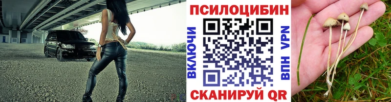 Галлюциногенные грибы GOLDEN TEACHER  купить   Новотитаровская 